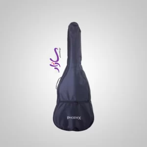 کاور گیتار ابردار