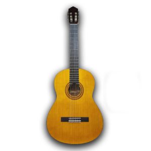 گیتار رولکس