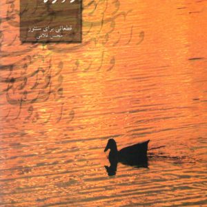 واژه تنهایی قطعاتی برای سنتور محسن غلامی